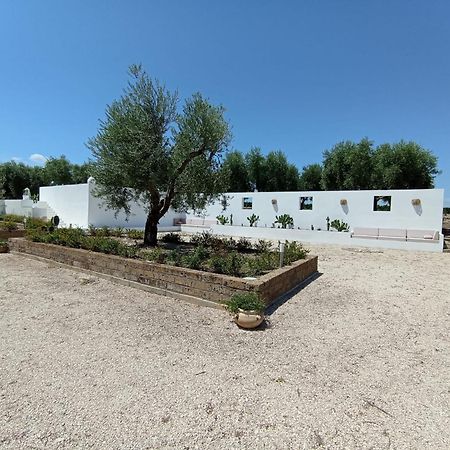 Tenuta Viale Degli Ulivi San Martino in Pensilis Zewnętrze zdjęcie