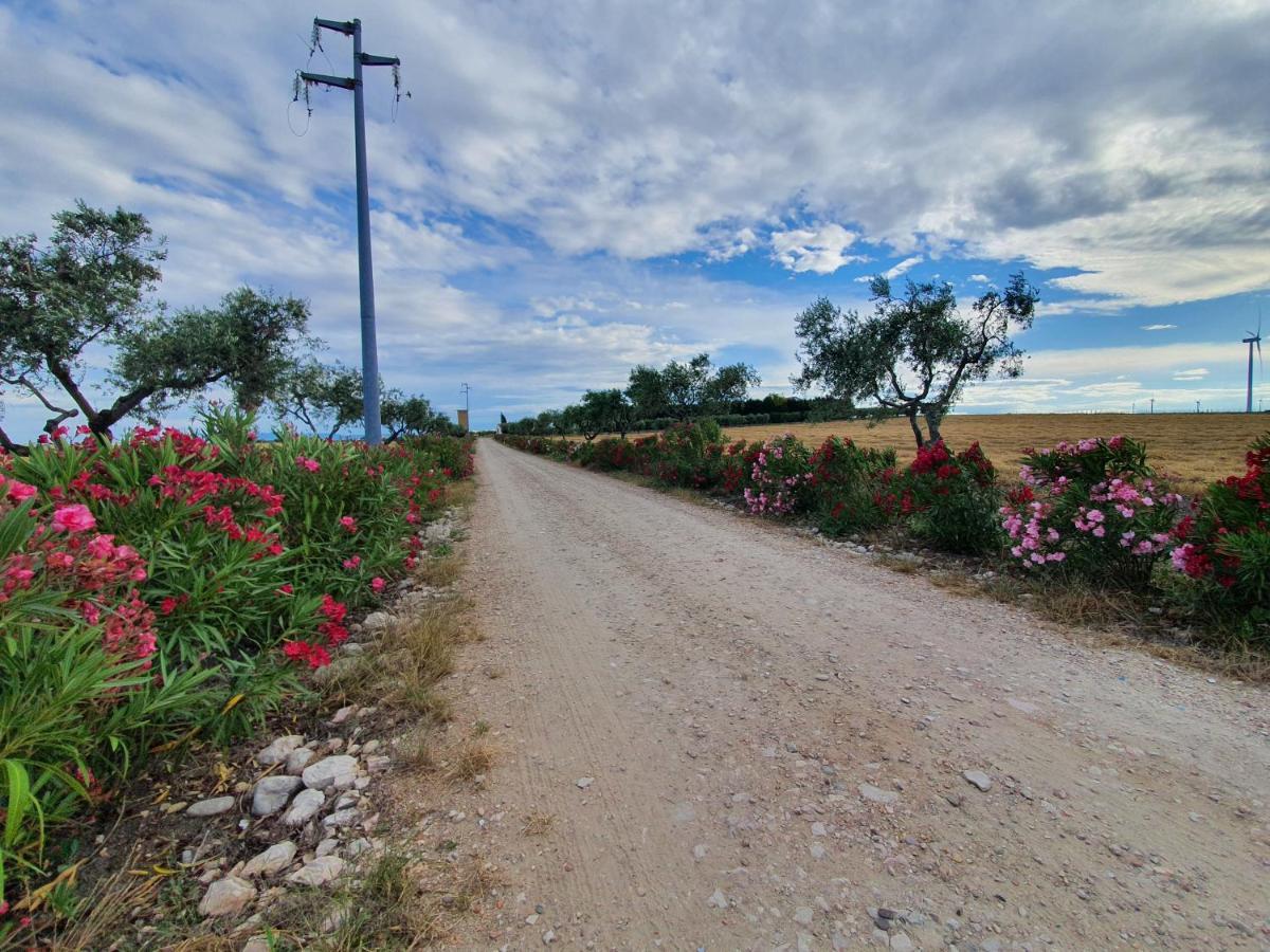 Tenuta Viale Degli Ulivi San Martino in Pensilis Zewnętrze zdjęcie