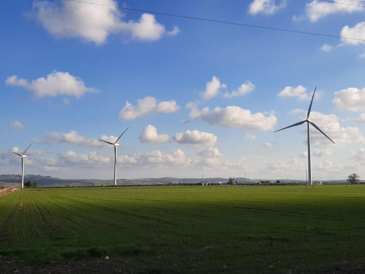Tenuta Viale Degli Ulivi San Martino in Pensilis Zewnętrze zdjęcie