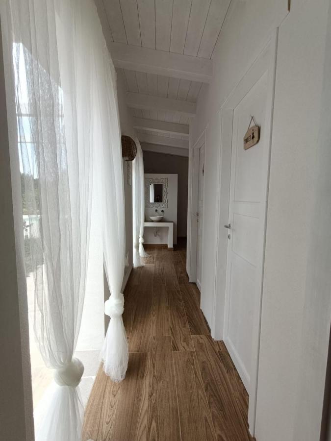 Tenuta Viale Degli Ulivi San Martino in Pensilis Zewnętrze zdjęcie