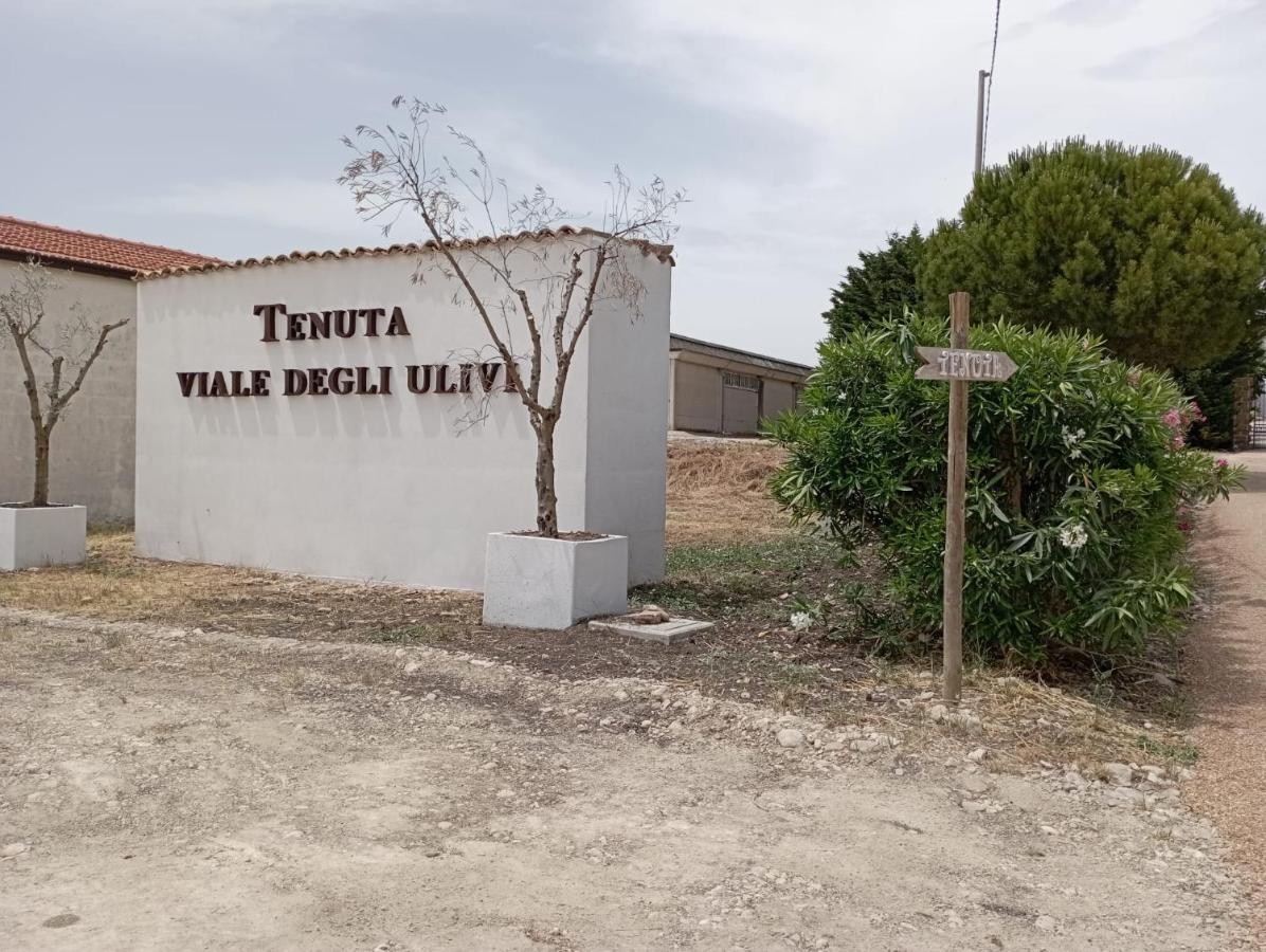 Tenuta Viale Degli Ulivi San Martino in Pensilis Zewnętrze zdjęcie