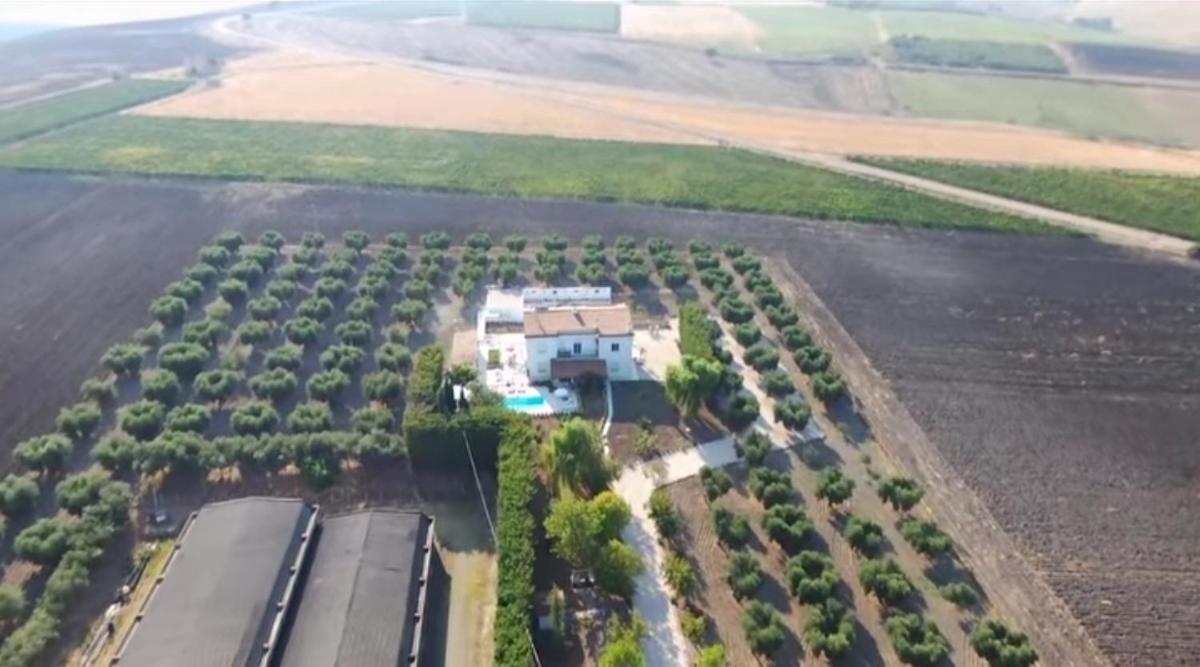 Tenuta Viale Degli Ulivi San Martino in Pensilis Zewnętrze zdjęcie