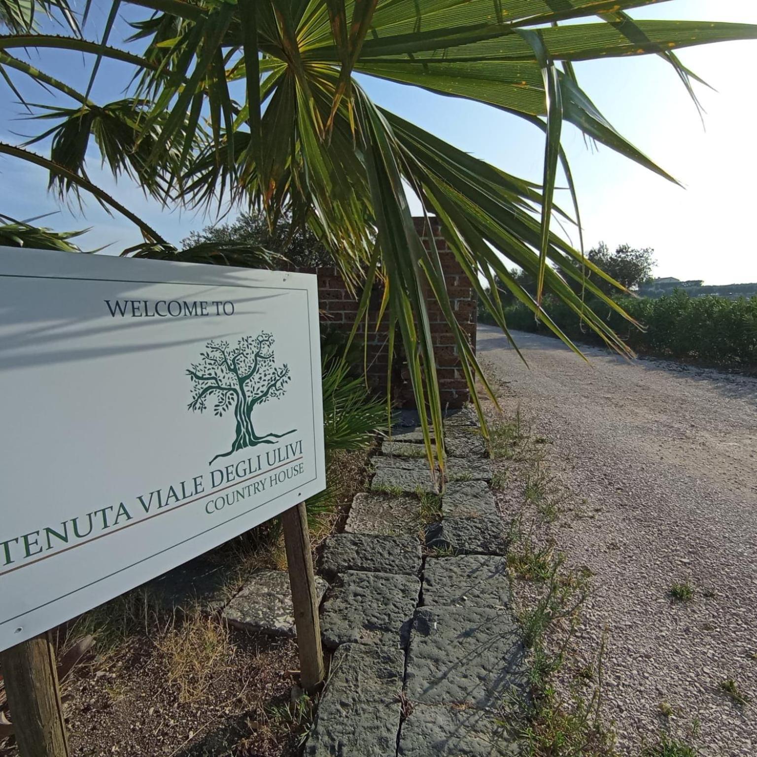 Tenuta Viale Degli Ulivi San Martino in Pensilis Zewnętrze zdjęcie