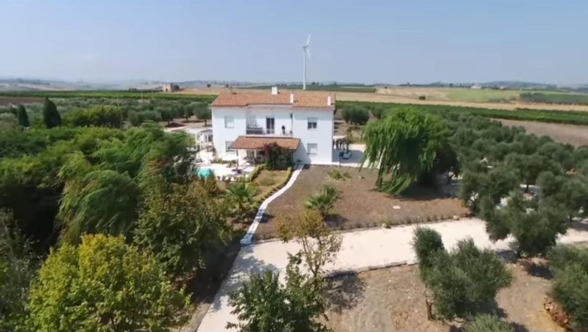 Tenuta Viale Degli Ulivi San Martino in Pensilis Zewnętrze zdjęcie