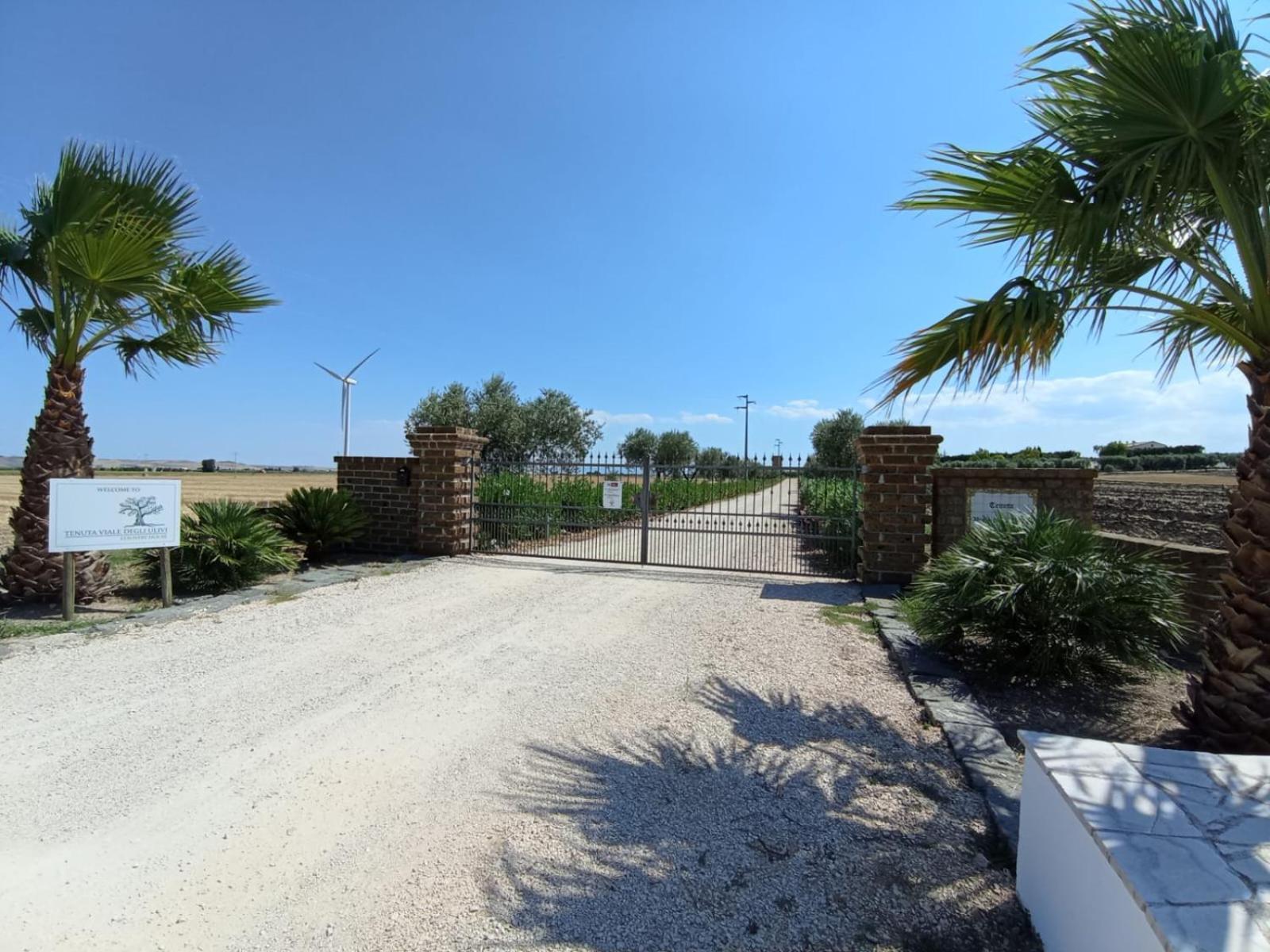 Tenuta Viale Degli Ulivi San Martino in Pensilis Zewnętrze zdjęcie