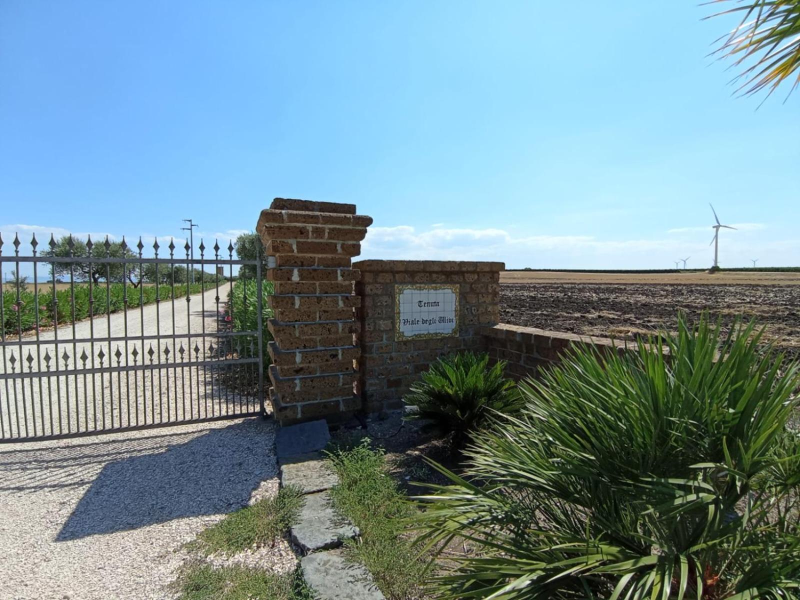 Tenuta Viale Degli Ulivi San Martino in Pensilis Zewnętrze zdjęcie