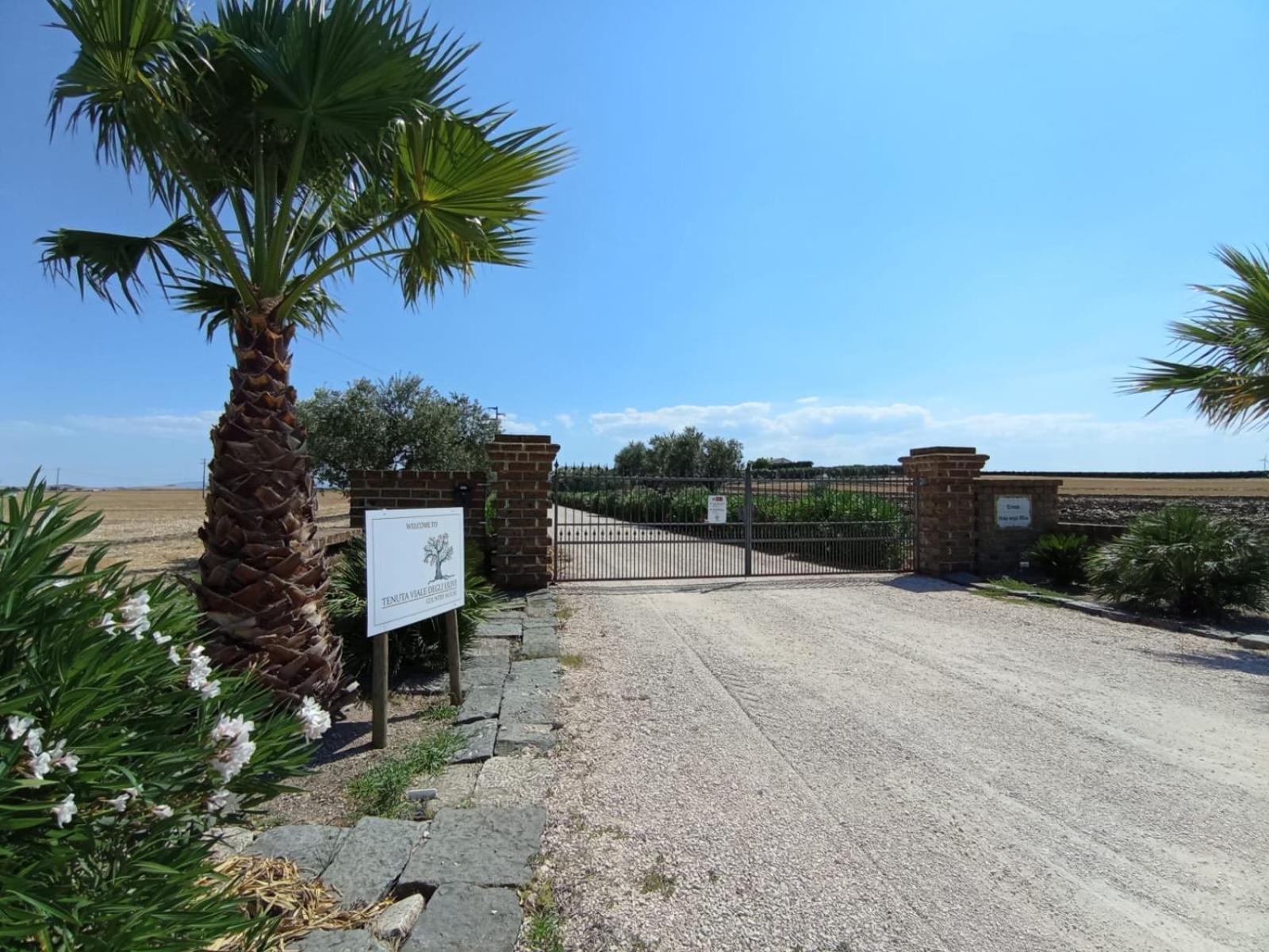 Tenuta Viale Degli Ulivi San Martino in Pensilis Zewnętrze zdjęcie
